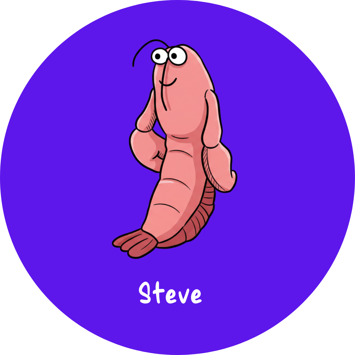 Steve